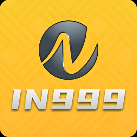 IN999 Logo